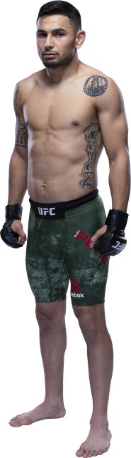UFC Fight Night: Blaydes vs. dos Santos