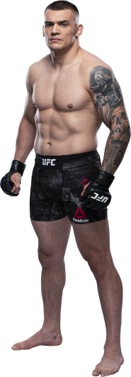 UFC Fight Night: Blaydes vs. dos Santos