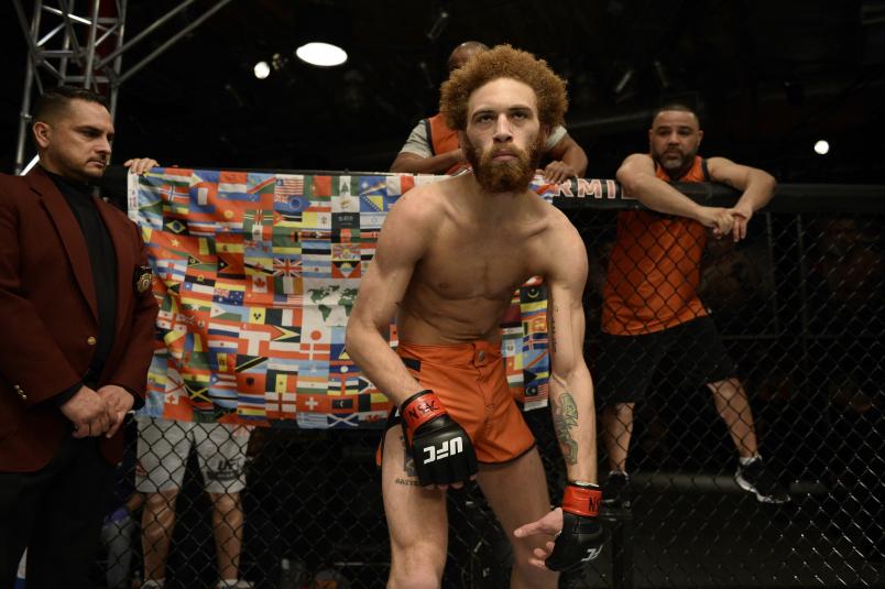 Violent Bob Ross