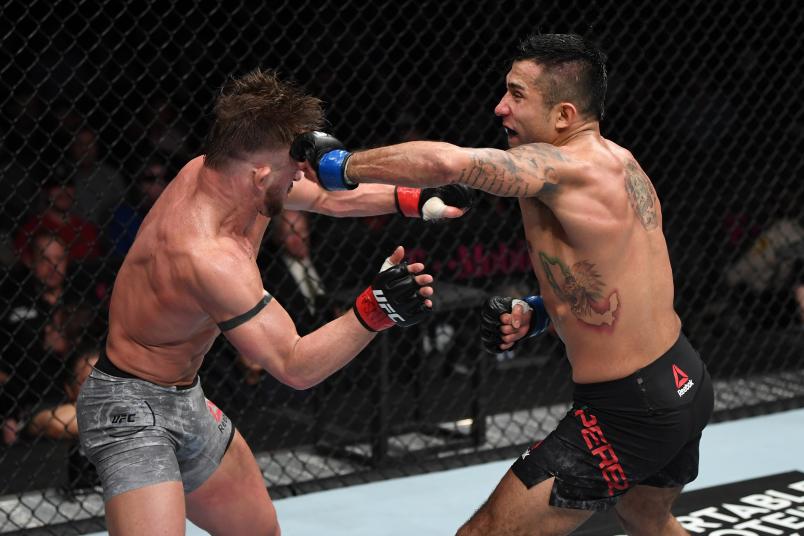 LAS VEGAS, NV - MARCH 02: Alejandro Perez of Mexico punches Cody Stamann in their bantamweight bout during the UFC 235 event at T-Mobile Arena on March 2, 2019 in Las Vegas, Nevada. (Photo by Jeff Bottari/Zuffa LLC/Zuffa LLC)