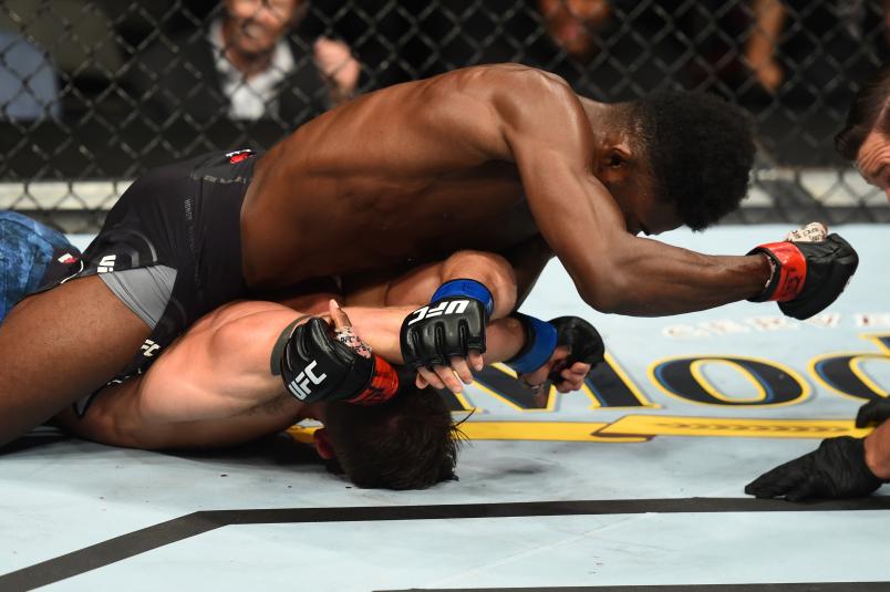 DALLAS, TX - SEPTEMBER 08: Aljamain Sterling (top) punches Cody Stamann in their bantamweight fight during the UFC 228 event at American Airlines Center on September 8, 2018 in Dallas, Texas. (Photo by Josh Hedges/Zuffa LLC/Zuffa LLC via Getty Images)