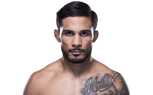 Dennis Bermudez | UFC