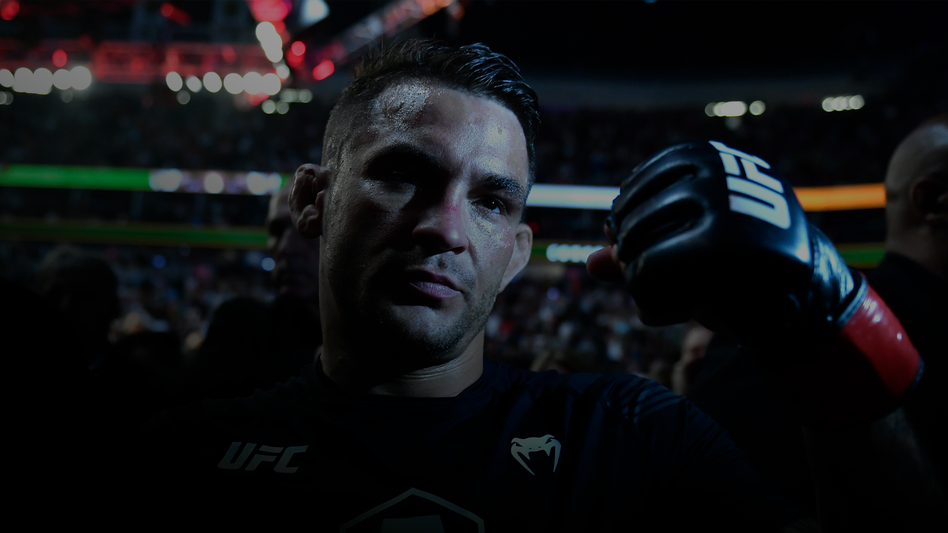 боец трансляция