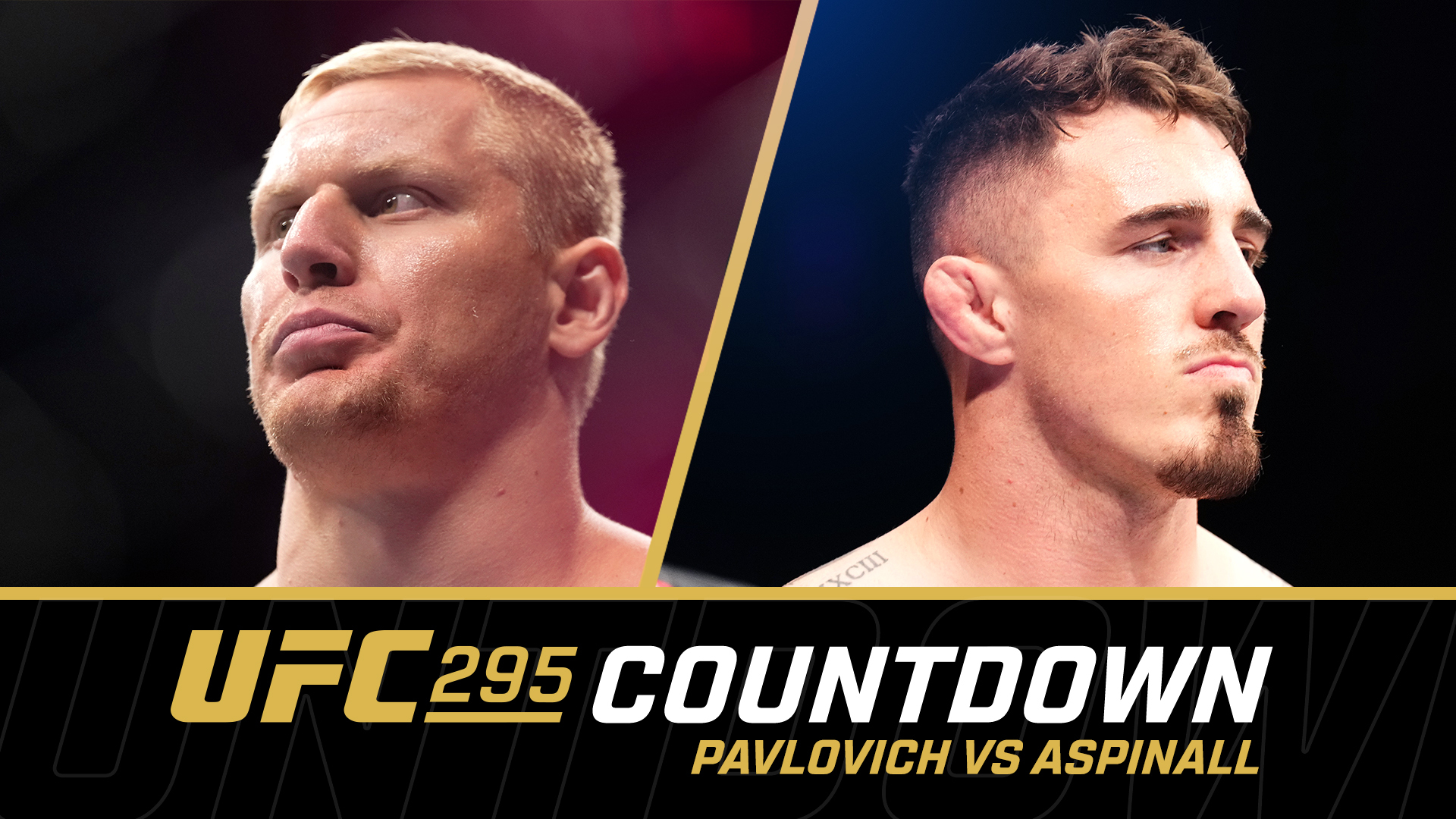 Ufc 295 павлович vs аспинэлл. Ufc 295 павлович vs аспинэлл