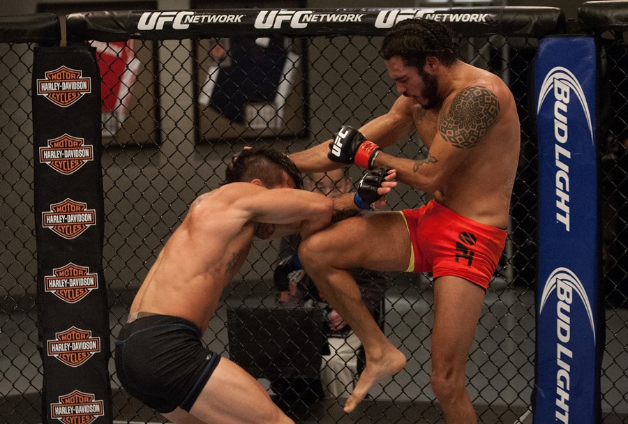 Como Llegar A Pelear En La Ufc