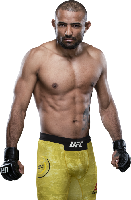 Sergio Moraes | UFC