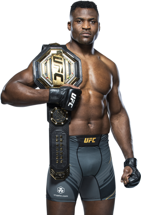 Фрэнсис Нганну | UFC