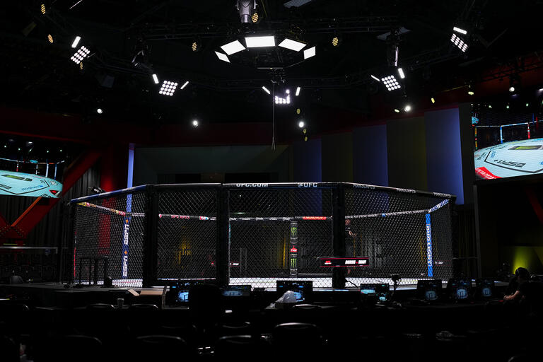 UFC Fight Night Burns vs Brady Prelim Results Winner Interviews