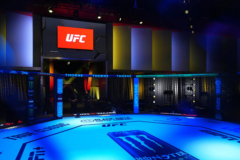 General view of UFC Octagon. (Zuffa LLC)