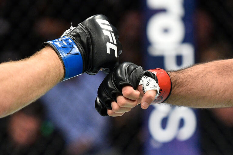 Evan Dunham and Beneil Dariush of Iran touch gloves to start their lightweight bout during the UFC 216 event inside T-Mobile Arena on October 7, 2017 in Las Vegas, Nevada. (Photo by Jeff Bottari/Zuffa LLC)