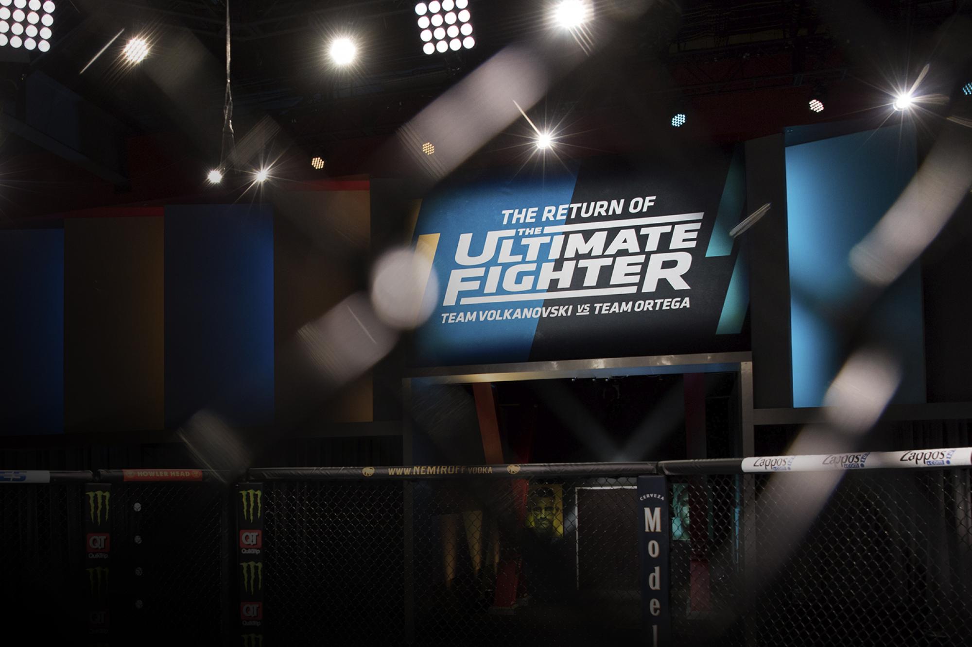 watch series the ultimate fighter