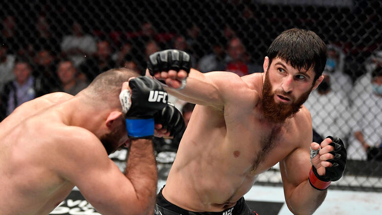 Magomed Ankalaev Embraces The Hard Road - Vimarsana News