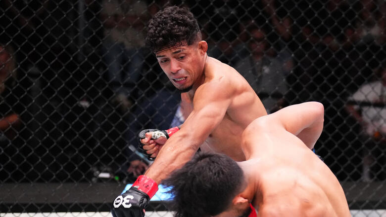 Significant Stats | UFC 301: Pantoja vs Erceg - Vimarsana News