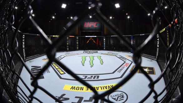 A general view of the Octagon prior to the UFC 255 event at UFC APEX on November 21, 2020 in Las Vegas, Nevada. (Photo by Jeff Bottari/Zuffa LLC)