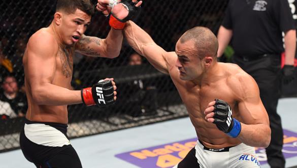 BOSTON, MA - JANUARY 17:  (R-L) Eddie Alvarez punches Anthony Pettis in their lightweight bout during the UFC Fight Night event inside TD Garden on January 17, 2016 in Boston, Massachusetts. (Photo by Jeff Bottari/Zuffa LLC/Zuffa LLC via Getty Images)