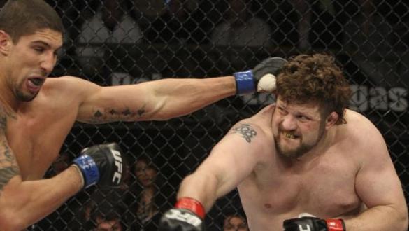 The Ultimate Fighter Finale Roy Nelson vs Brendan Schaub
