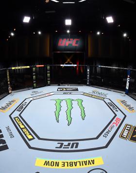 UFC 255: Todos os Resultados