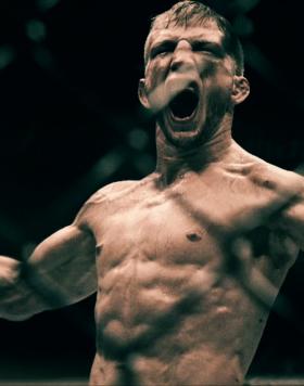 TJ Dillashaw