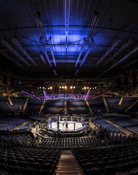 UFC 234 Adesanya vs Silva octagon