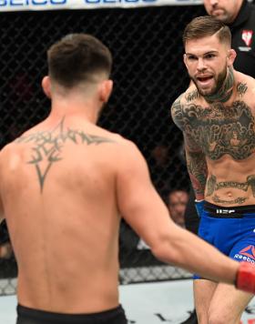 LAS VEGAS, NV - DECEMBER 30: (L-R) Dominick Cruz taunts Cody Garbrandt in their UFC bantamweight championship bout during the UFC 207 event at T-Mobile Arena on December 30, 2016 in Las Vegas, Nevada.  (Photo by Josh Hedges/Zuffa LLC/Zuffa LLC via Getty I