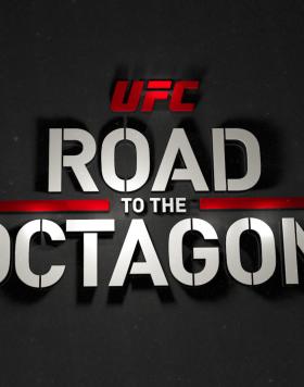 UFC Fight Night Holm vs Shevchenko Road to the Octagon logo