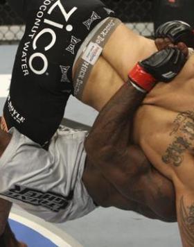 The Ultimate Fighter Finale Kimbo Slice vs Houston Alexander