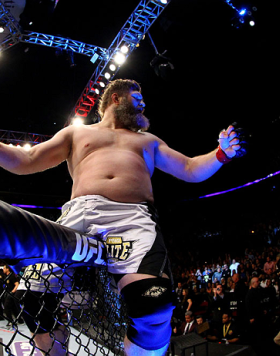 NEWARK, NJ - APRIL 27:  Roy Nelson celebrates his win by knockout against Cheick Kongo of France in their heavyweight bout during the UFC 159 event at the Prudential Center on April 27, 2013 in Newark, New Jersey.  (Photo by Al Bello/Zuffa LLC/Zuffa LLC V