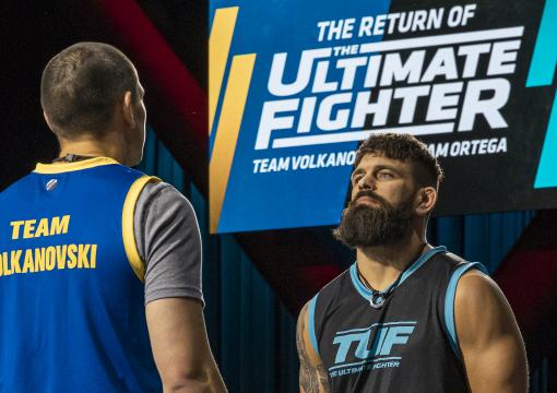 the ultimate fighter streaming