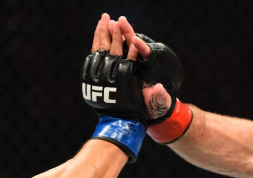 UFC Glove Touch