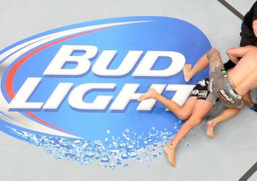 Bud Light Octagon