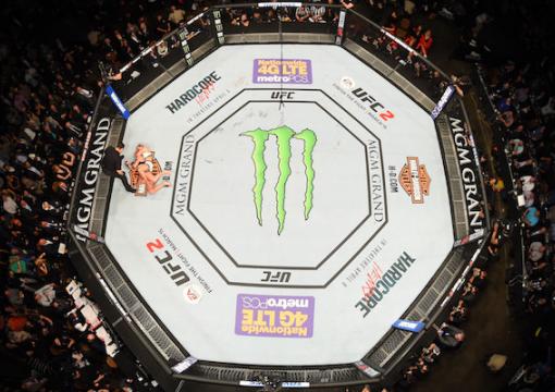 ufc endeavor