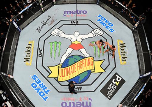 UFC 25th Anniversary Octagon