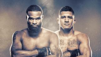 UFC Fight Night Las Vegas: Woodley vs Burn Poster