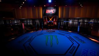 the octagon inside the ufc apex