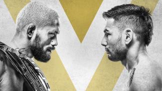 UFC 255 Figueiredo vs Perez Event Poster