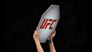 A UFC Octagon Girl introduces a round during the UFC Fight Night event at Canadian Tire Centre on May 4, 2019 in Ottawa, Ontario, Canada. (Photo by Jeff Bottari/Zuffa LLC)