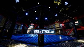 Confira todos os resultados do UFC Vegas 33
