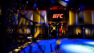 Resultados Oficiais | UFC Vegas 43: Vieira x Tate