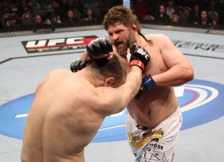 Mirko Cro Cop vs Roy Nelson