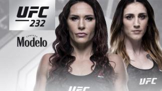 UFC 232 Zingano vs Anderson