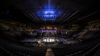 UFC 234 Adesanya vs Silva octagon