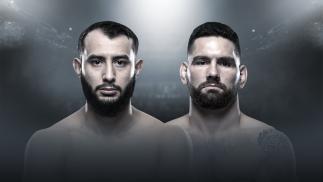 UFC Boston Dominick Reyes vs Chris Weidman HERO