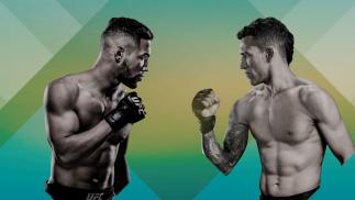 UFC Brasilia Poster