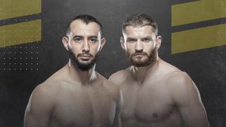 UFC 253 Dominick Reyes vs Jan Blachowicz