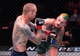 sean omalley previa ufc 264