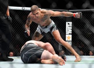 bonos ufc 268