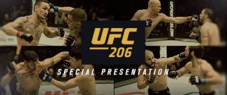 special ufc 206