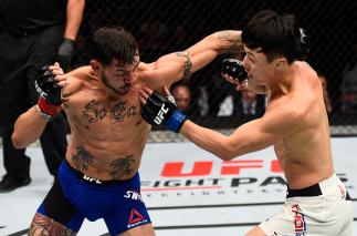 No UFC 206, Dooho Choi e Cub Swanson fizeram aquela que foi considerada a melhor luta de 2016. Choi retorna contra Jeremy Stephens na luta principal do UFC St Louis, em 14 de janeiro.