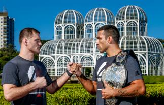 Fabricio Werdum, Stipe Miocic