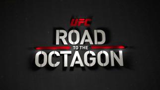 UFC Fight Night Holm vs Shevchenko Road to the Octagon logo